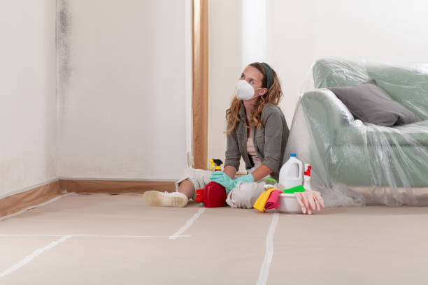 Reliable Mold Cleanup contractor in Watsontown, PA by WQB Mold Removal